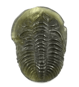 TRILOBIT, VLTAVÍN, GLYPTIKA - BIJOUX À MOLDAVITES TCHÈQUES