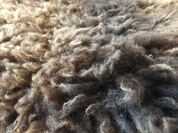 SHEEPSKIN, 1M - LEATHER MATERIAL, FURS