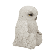 FEATHERED FAMILY, OWLS, DECORATION - ANIMAL FIGURES