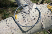 ALESIA, SILVER TORQUES, GARNET - TORCS - NECKLACES