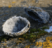 AGATE - GÉODE - PRODUITS MINÉRAUX, BIJOUX