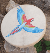 SHAMAN DRUM - MACAW PARROT 40 CM - DRUMS, FLUTES