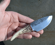 CERVUS, FORGED KNIFE - KNIVES