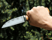 HEIMDALL, DAMASCUS STEEL KNIFE - KNIVES