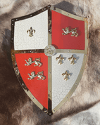 KINGHTS TEMPLAR SHIELD - BEMALTE SCHILDE