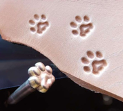 CAT TRACK, LEATHER STAMP - MATOIRS À CUIR