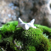 LITTLE FOX, CUBIST RING, STERLING SILVER - ANNEAUX