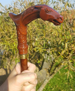 HORSE HEAD, WALKING STICK - CANNES DE MARCHE