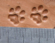 CAT TRACK, LEATHER STAMP - LEATHER STAMPS
