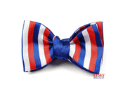TRICOLOR BUTTERFLY BOW TIE - TIES, BOW TIES, HANDKERCHIEFS