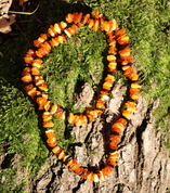 AMBER NECKLACE 40 CM - AMBER JEWELRY