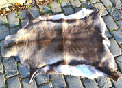 REINDEER FUR, IMPORT: LAPLAND - LEATHER, FURS, SKINS, PERGAMENS