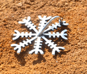 AEGISHJALMUR - HELM OF AWE, ICELANDIC MAGICAL RUNE, PENDANT, SILVER - PENDANTS