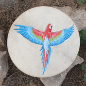 SHAMAN DRUM - MACAW PARROT 40 CM - DRUMS, FLUTES