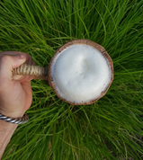 WOODEN TANKARD, OAK - DISHES, SPOONS, COOPERAGE