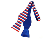 TRICOLOR BUTTERFLY BOW TIE - TIES, BOW TIES, HANDKERCHIEFS