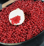 CZECH ROCAILLE SEED BEADS RED 10/0 - ROCAILLES - GLASS BEADS