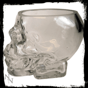 CRYSTAL SKULL GLASS - MUGS, GOBLETS, SCARVES