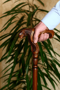 TYRANNOSAURUS  - WALKING STICK, CANE - WALKING CANES