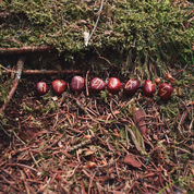 RED JASPER RUNE SET, OLD FUTHARK - DECORATIVE MINERALS AND ROCKS