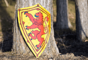 ALBA - SCOTLAND, PAINTED MEDIEVAL SHIELD - PAINTED SHIELDS