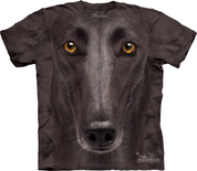 GREYHOUND T-SHIRT - LES T-SHIRTS THE MOUNTAIN ET AUTRES