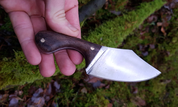 FOX, FORGED KNIFE - KNIVES