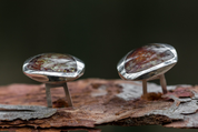 LEONARD, BOUTONS DE MANCHETTE, ARGENT ET AMBRE - AMBRE ET ARGENT