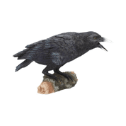 RAVEN'S CALL 20CM - FIGURINES D'ANIMAUX