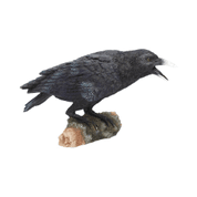 RAVEN'S CALL 20CM - ANIMAL FIGURES