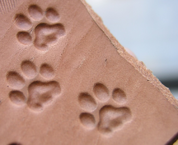 CAT TRACK, LEATHER STAMP - LEATHER STAMPS