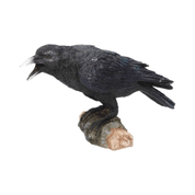 RAVEN'S CALL 20CM - FIGURINES D'ANIMAUX