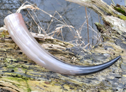 LONG VIKING DRINKING HORN  - 0.7 L - DRINKING HORNS