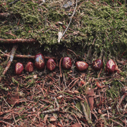 RED JASPER RUNE SET, OLD FUTHARK - DECORATIVE MINERALS AND ROCKS