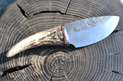 CERVUS, FORGED KNIFE - KNIVES