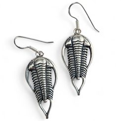 Boucles d'oreilles trilobites, argent 925/1000