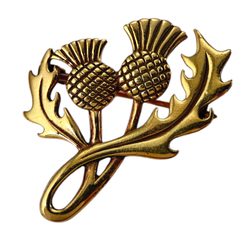 SCOTTISH THISTLE, bronze brooch