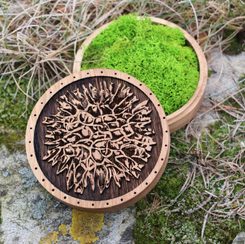 MOLDAVITE oak box for collectors of stones, moldavite and bracelets