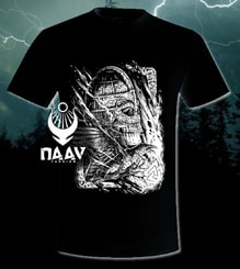 VICTORY or VALHALLA, Viking T-shirt, men's