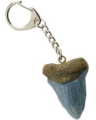 Keychain, Megalodon tooth