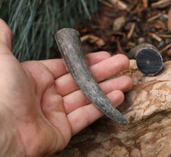 BRONZE DRINKING HORN TERMINAL, Ninian's Isle, Shetlands