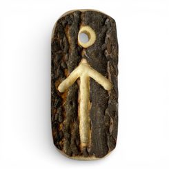 TIWAZ, deer antler rune pendant