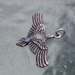 CORVUS, raven, bronze ring