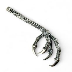 serres d'oiseau, pendentif, argent