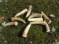 ANTLER BUTTON - deer