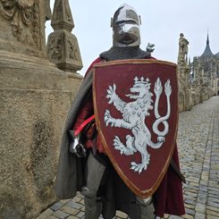 Medieval shield - Bohemian Lion, combat