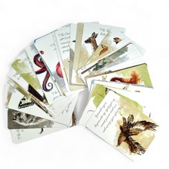 Cartes de tarot, cartes d'animaux de pouvoir GB