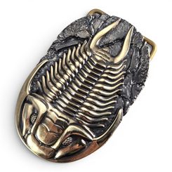 Trilobite, belt buckle, brass