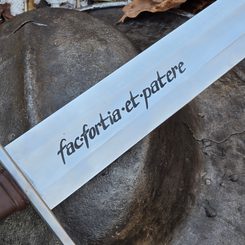 INVICTUS official sword Kingdom Come: Deliverance II, blunt replica
