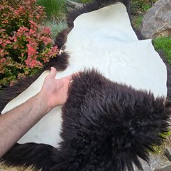 Sheepskin, Swedish Melerade sheep